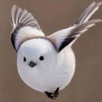 claire_ohwow22234445