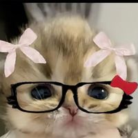 nicolle.hernandez433