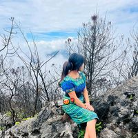 juana_carrillo_502_