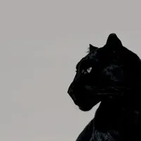 original sound - myscs.s