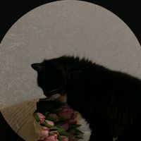alexa.cceres13