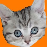 original sound - Fasıx 02