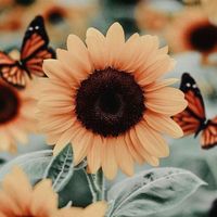 _happy._.gurl