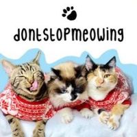 dontstopmeowing