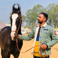 original sound - user9872484775