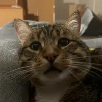 all these videos are so cute guys