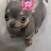 original sound - b.20_2