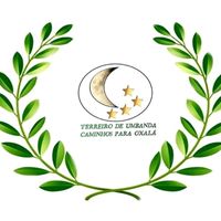 terreirotucomg