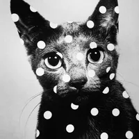 no one noticed by the marias from tiny desk