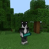 minecraft_9017