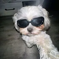 original sound - ninja_peyia0