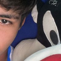 davico.18