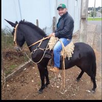 gersondasilvacama5