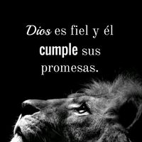 _13fatimamo