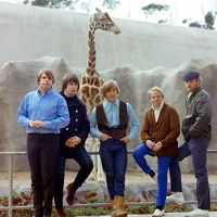 thebeachboys
