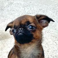 Beautiful Potato Body