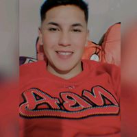 mijael.perez.veizaga