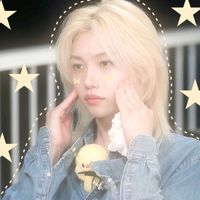 fan.straykids21