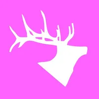 original sound - entertaintheelk