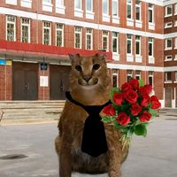 оригінальний звук