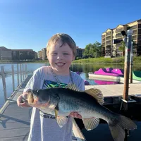 original sound - bigyaro969