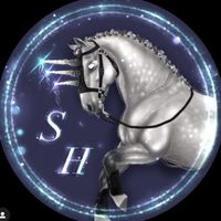 officialstormhorses