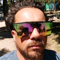 elvis.esta.vivo