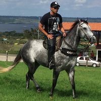 marcelo.mrranch