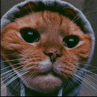 nikita_oficial04