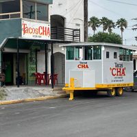 tacoschalocal