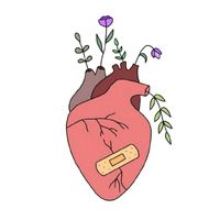 sanidad.interiormujer