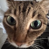 zzamoralka