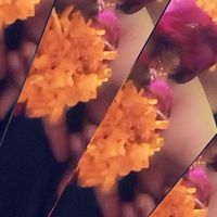 cuteshehzadi145145