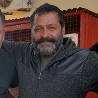 πρωτότυπος ήχος