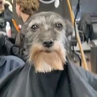 adri_mx5