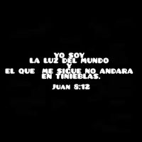 jesus_la_luz_del29