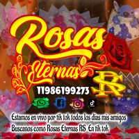 rosas_eternas_rs