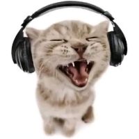 original sound - masonisepix