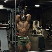 willowlifts
