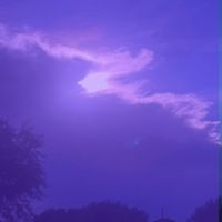 ztx.jose