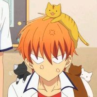 .siwawa