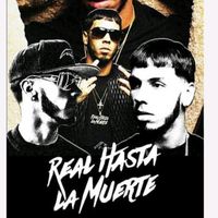 fan_de_anuel.aa101011