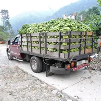 original sound - camionesdevenezuela