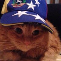 karaotaconazucaritta