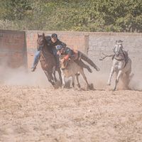gabriel_18qm