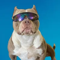 original sound - klausobully