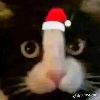 original sound - fuck_you_broo0