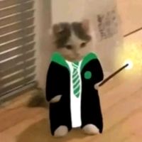 eidiarypotter