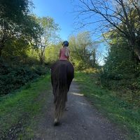 islathehorsequeen1