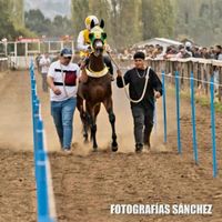 sonido original